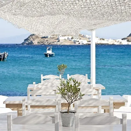 Aphrodite & Hotel
